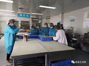 隴南生活網團隊走進成縣優點食品廠，探索乳制品背后的匠心與創新